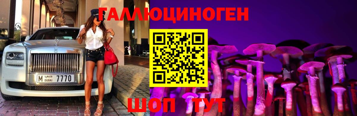 Михайловск  Псилоцибиновые грибы GOLDEN TEACHER  Вход с VPN  Галлюциногенные грибы ЛСД 